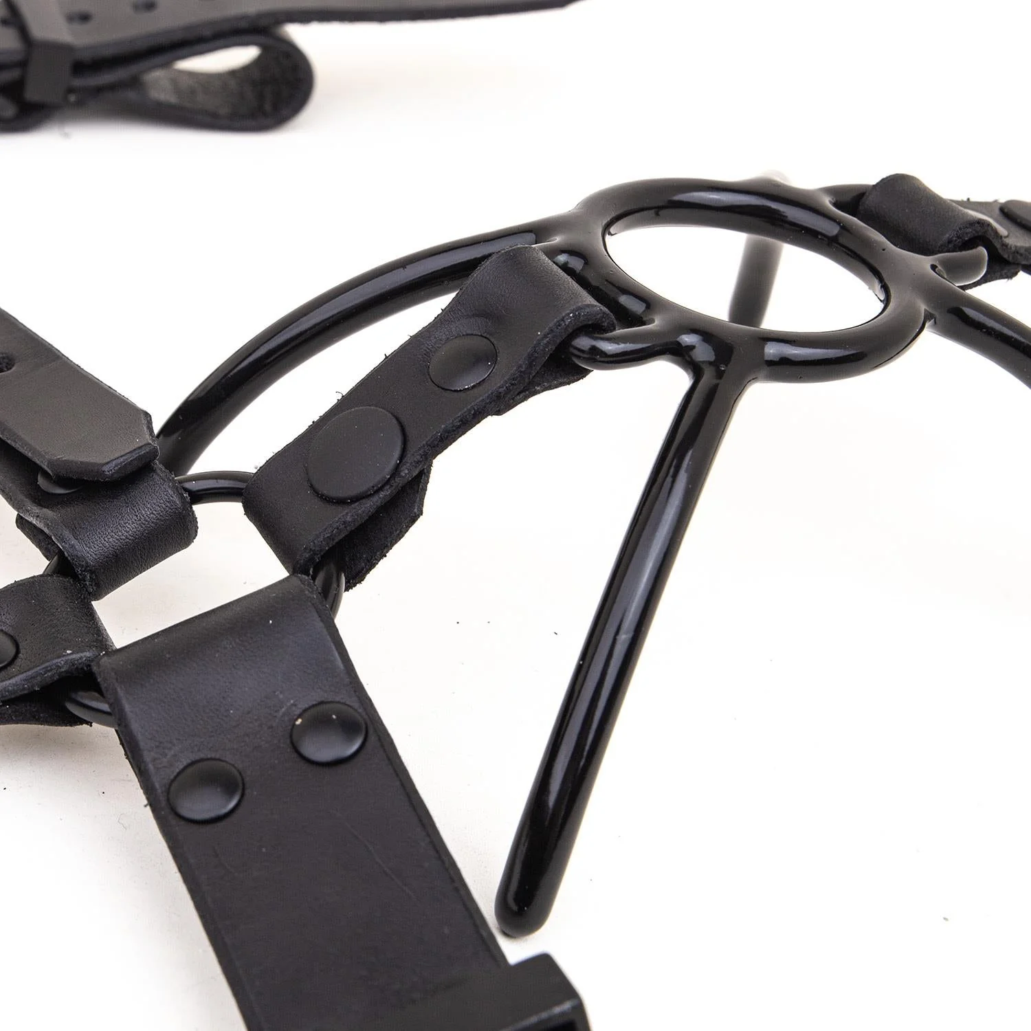 Rubber Coated Spider Gag add on for Nose Hook Head Harness - Image 2