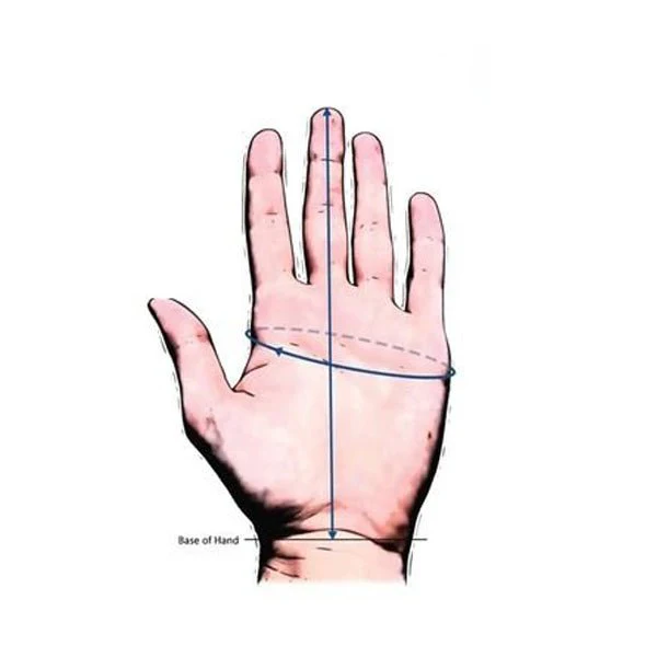 Leather Police Inspection Gloves - Image 4