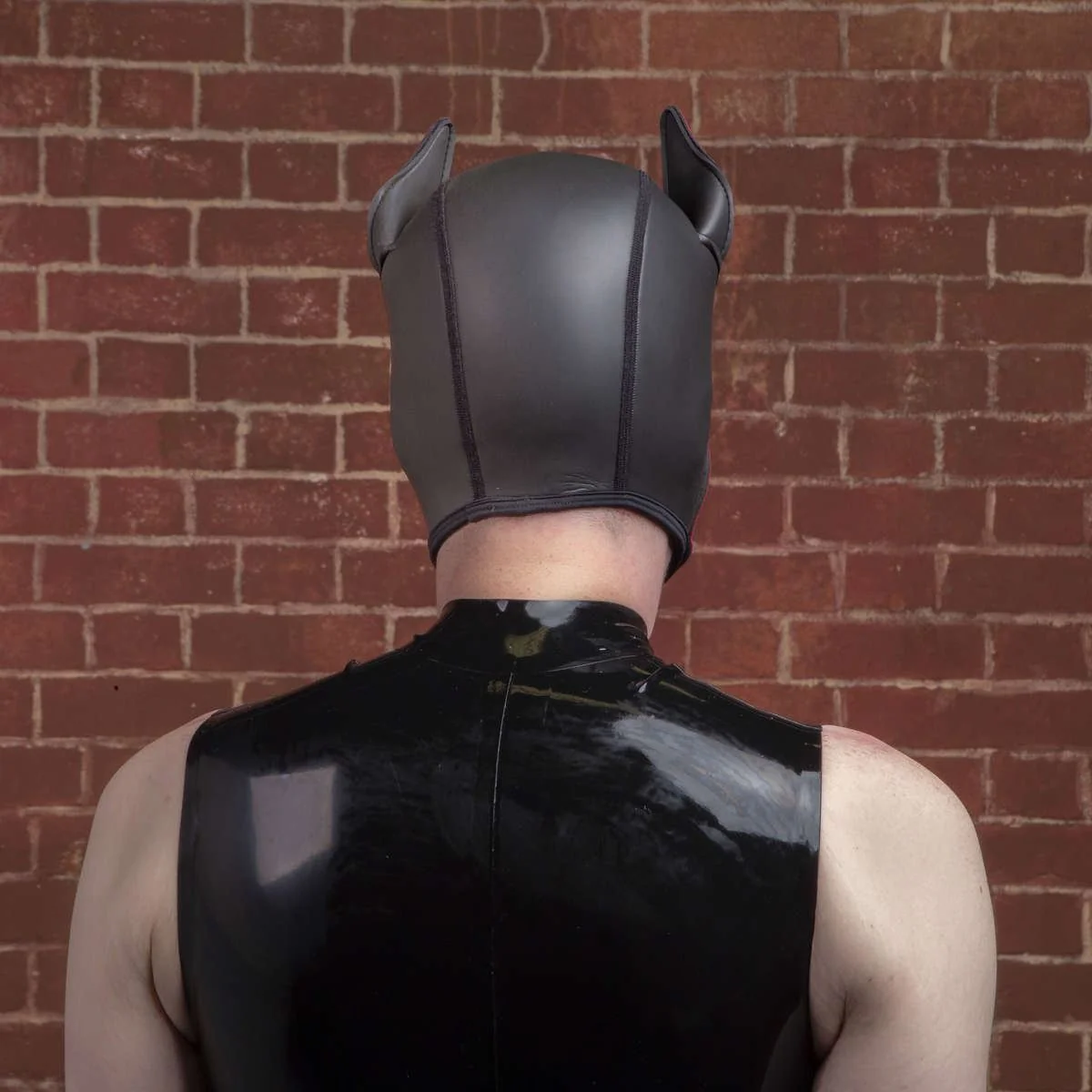 K9 Puppy Hood, Red - Image 3