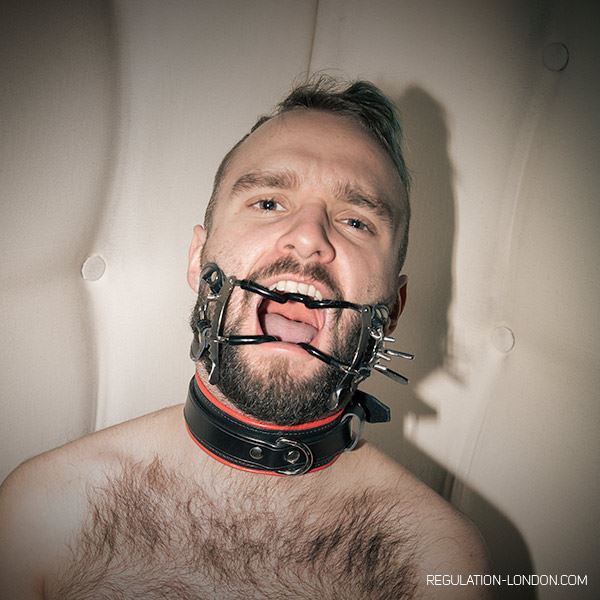 Whitehead Gag & Strap - Image 3